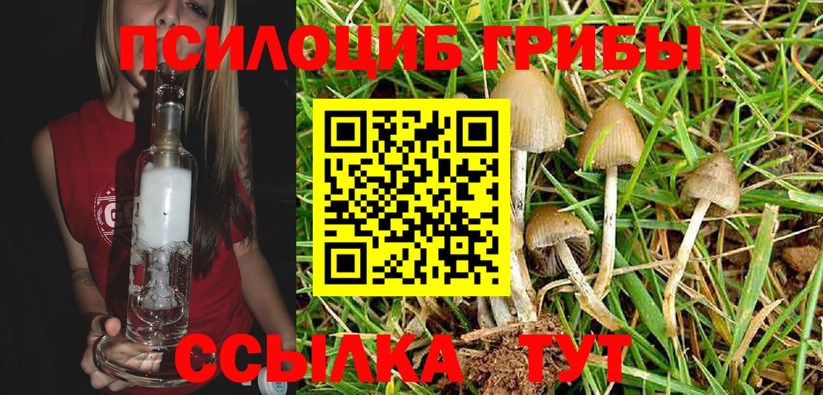 Псилоцибиновые грибы MAGIC MUSHROOMS Волхов