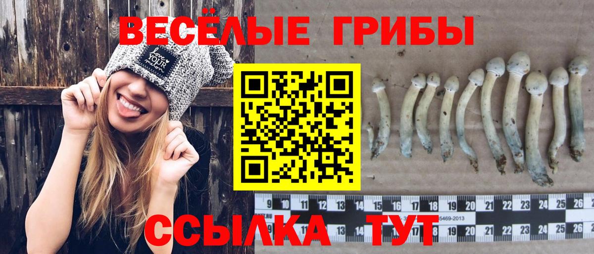 Галлюциногенные грибы Psilocybine cubensis  Вход с VPN  где продают   Волхов 