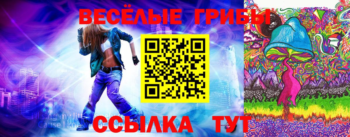 Псилоцибиновые грибы мухоморы  купить наркоту  Волхов 